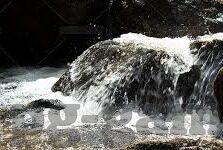 比分直播竞彩足球-揭秘比分直播竞彩足球，数据背后的策略与智慧博弈