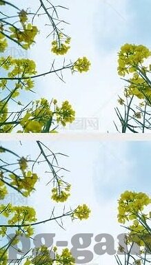 全球体育足球比分-全球体育足球比分，绿茵场上的心跳与荣耀交响曲