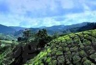 天津权健足球比分-从巅峰到沉寂，天津权健足球比分的风云变幻与时代印记